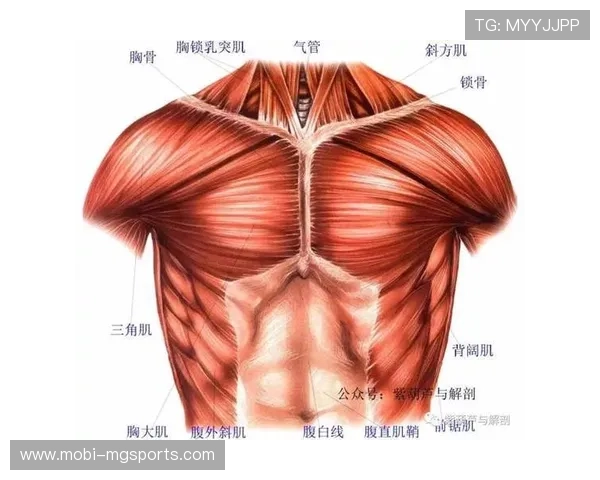 现代进攻体系强调空间创造 传统肌肉对抗让位于效率追求 现代进攻体系强调空间创造 传统肌肉对抗让位于效率追求